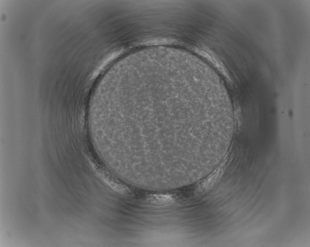 X0000075840159200610151554