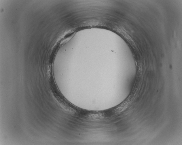 X0000075840160200610151554