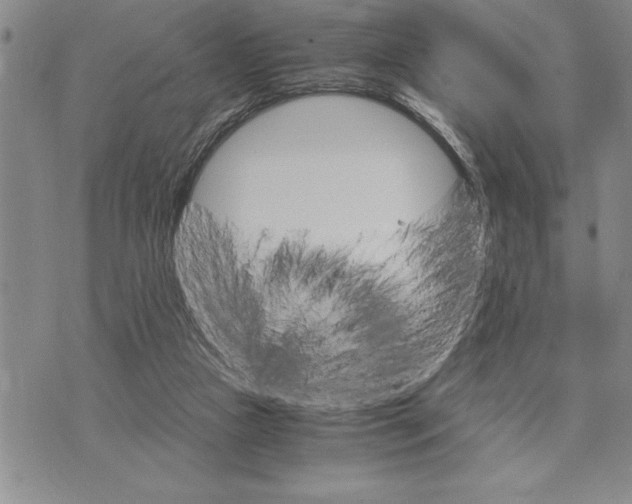 X0000075840161200610151554