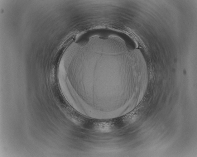 X0000075840163200610151554