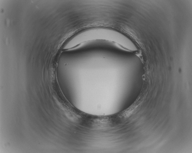 X0000075840164200610151554