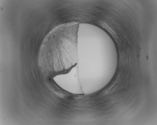 X0000075840165200610151554