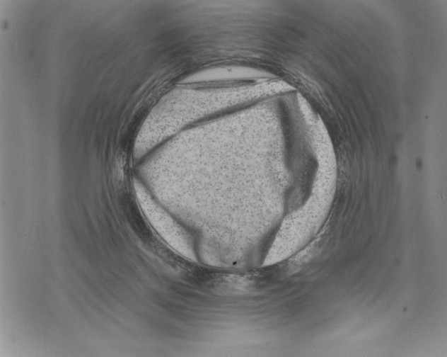 X0000075840166200610151554