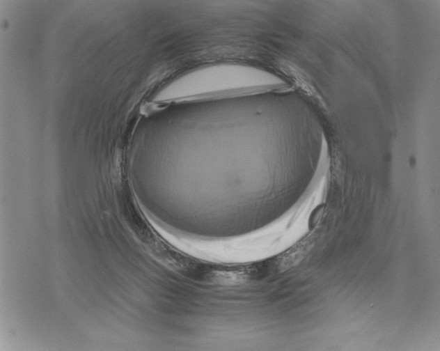 X0000075840167200610151554