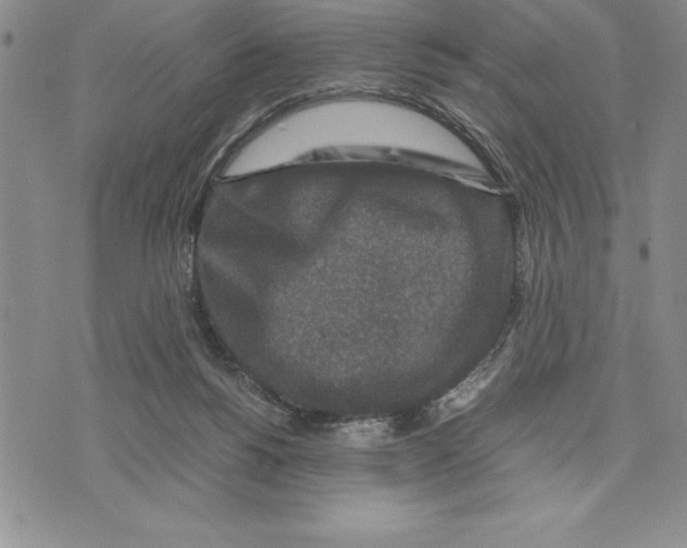 X0000075840168200610151554