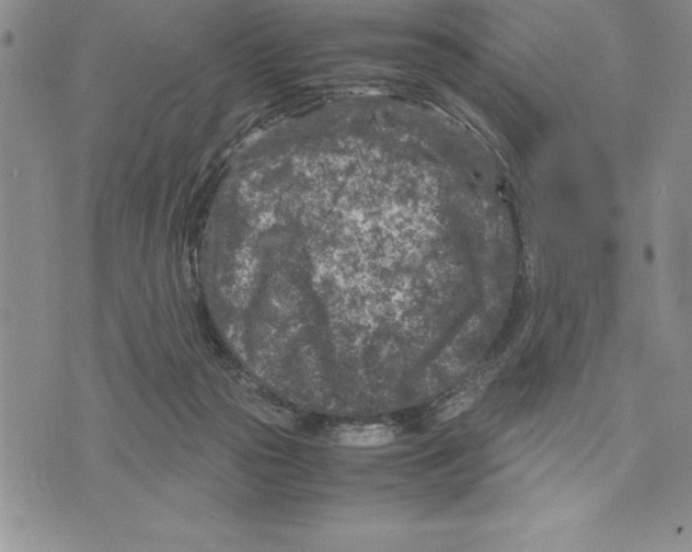 X0000075840169200610151554