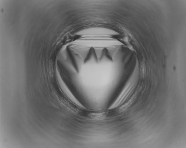 X0000075840170200610151554