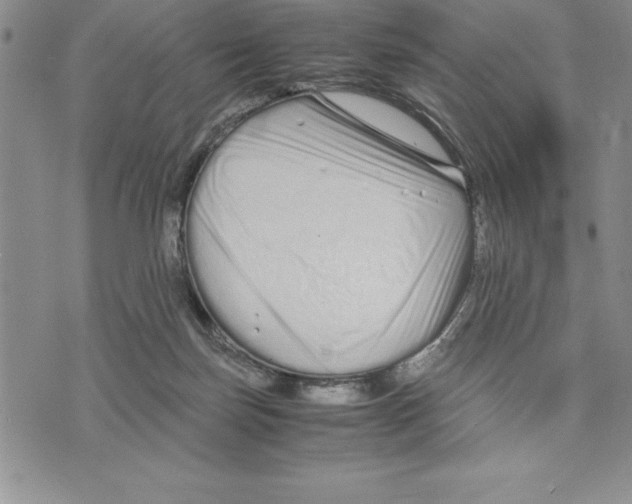 X0000075840171200610151554