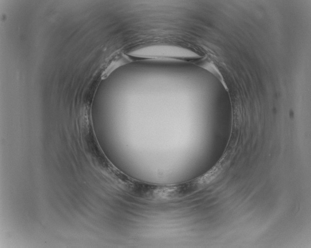 X0000075840172200610151554