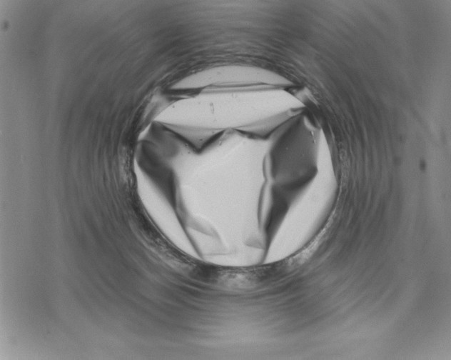 X0000075840174200610151554