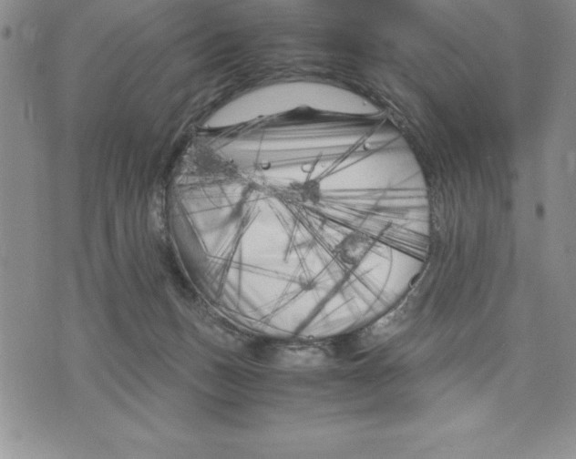 X0000075840175200610151554