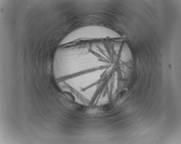 X0000075840177200610151554