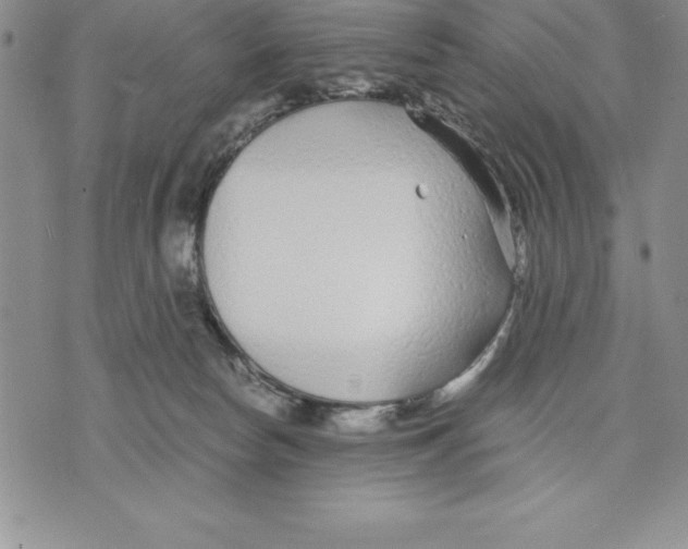 X0000075840178200610151554