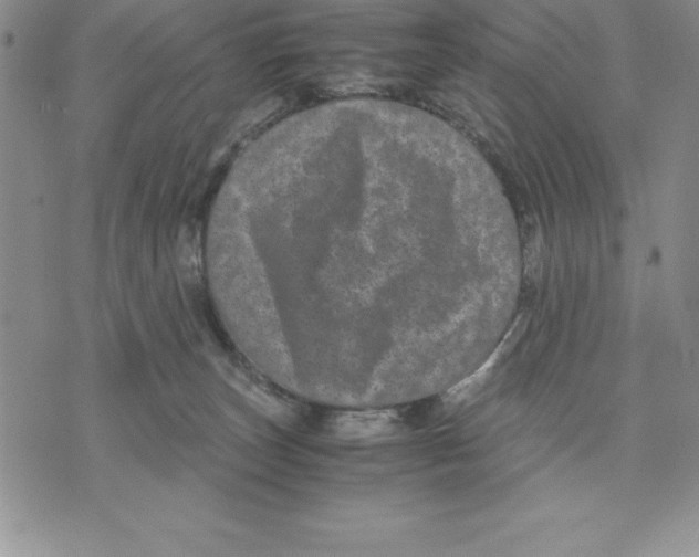 X0000075840179200610151554