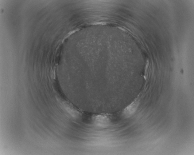 X0000075840180200610151554