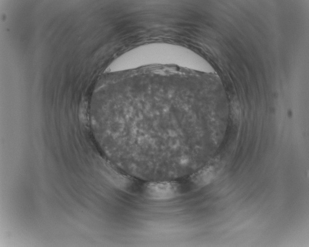 X0000075840181200610151554