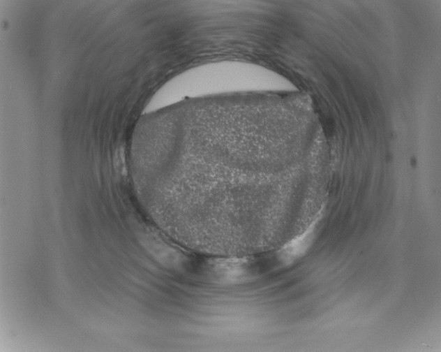 X0000075840182200610151554