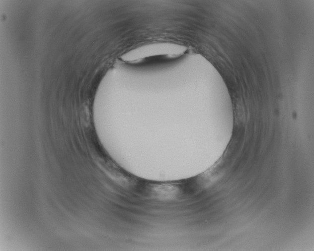 X0000075840183200610151554