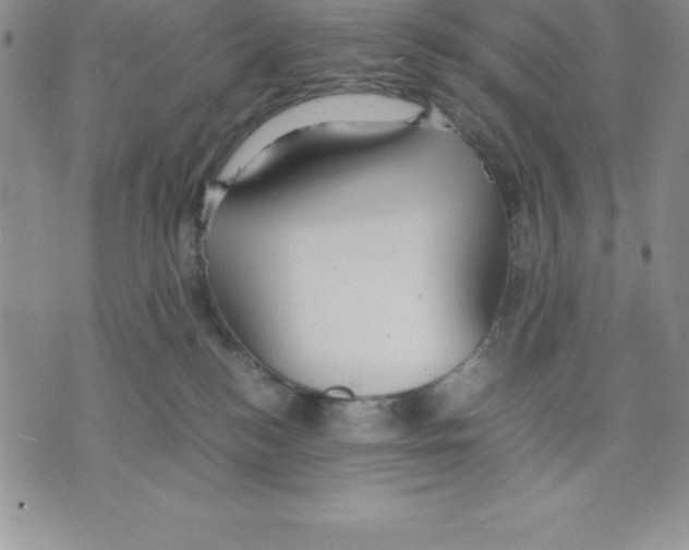 X0000075840184200610151554