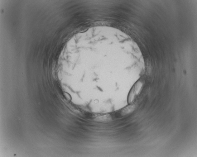 X0000075840185200610151554