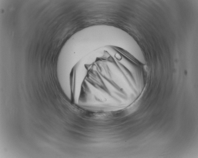 X0000075840190200610151554