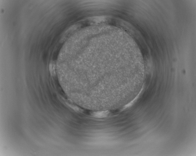 X0000075840191200610151554