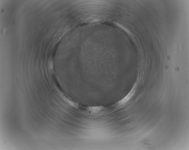 X0000075840192200610151554