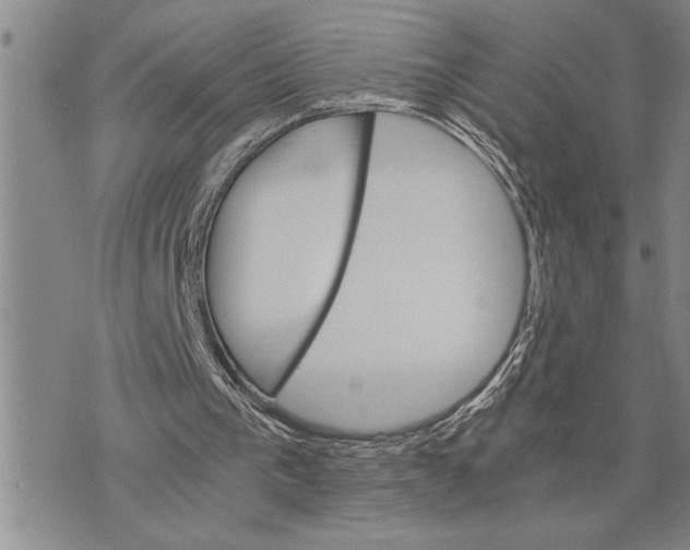 X0000075840193200610151553