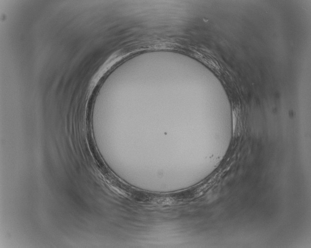 X0000075840195200610151553