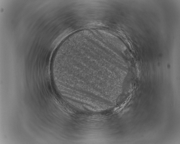 X0000075840196200610151553