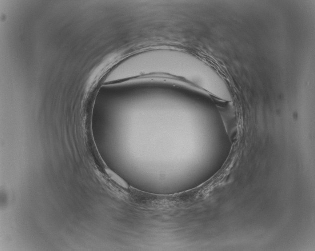 X0000075840197200610151553