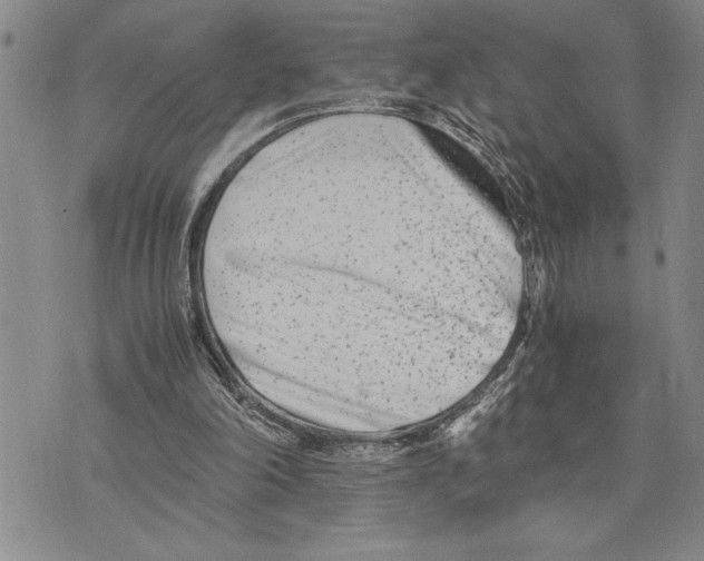 X0000075840198200610151553