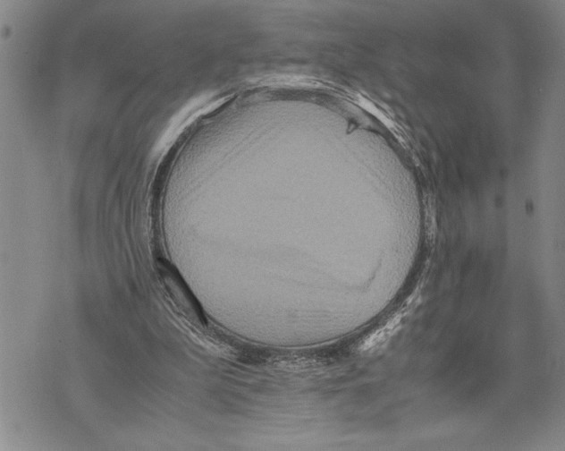 X0000075840199200610151553