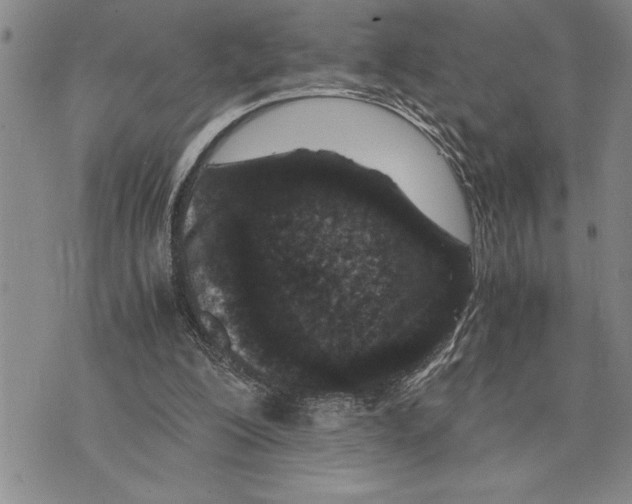 X0000075840200200610151553