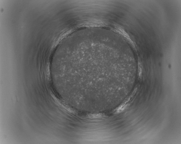 X0000075840202200610151553