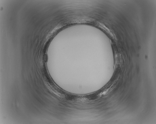 X0000075840203200610151553