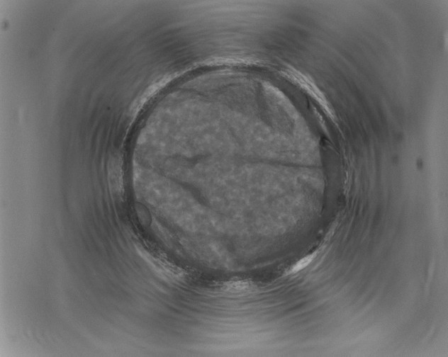 X0000075840204200610151553