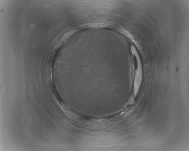 X0000075840205200610151553