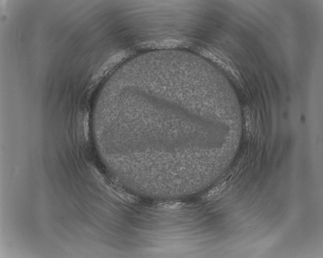 X0000075840206200610151553