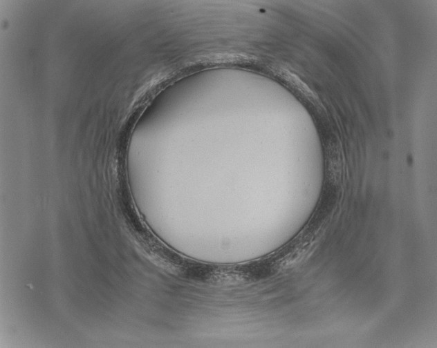 X0000075840207200610151553