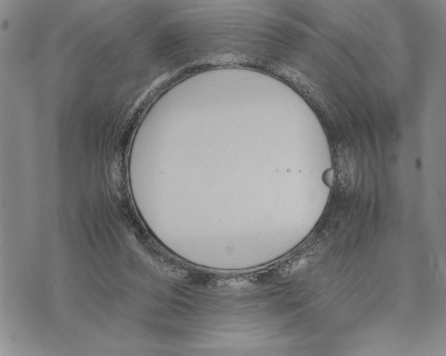 X0000075840208200610151553