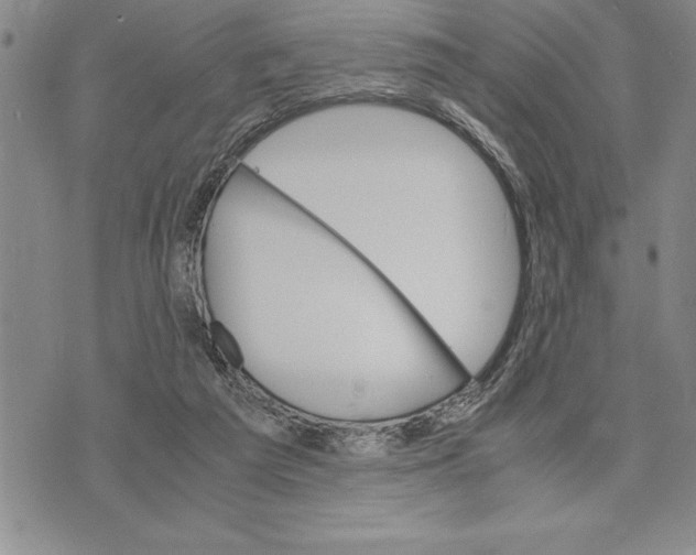 X0000075840209200610151553