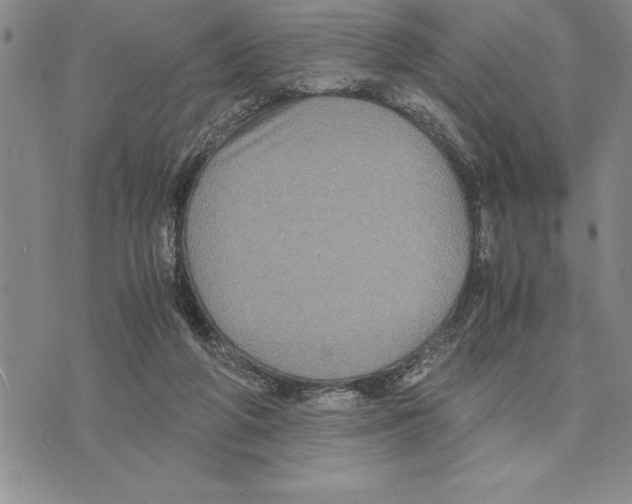 X0000075840210200610151553