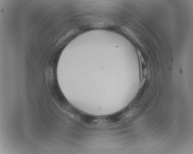 X0000075840211200610151553