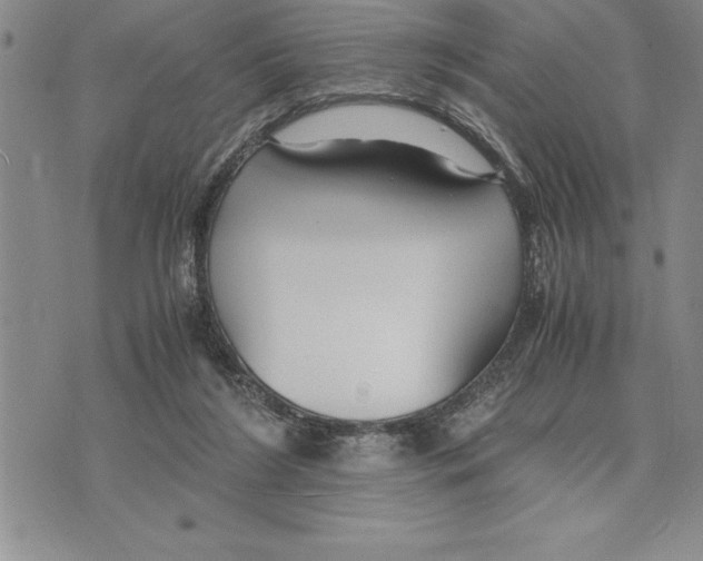 X0000075840212200610151553