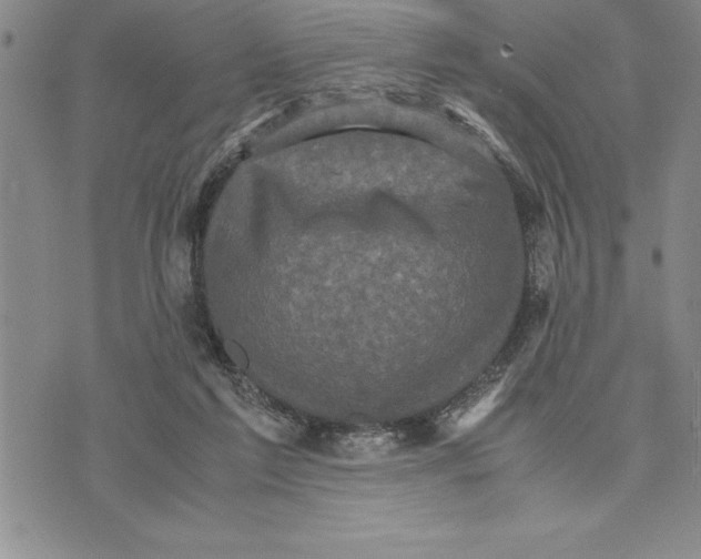 X0000075840213200610151553