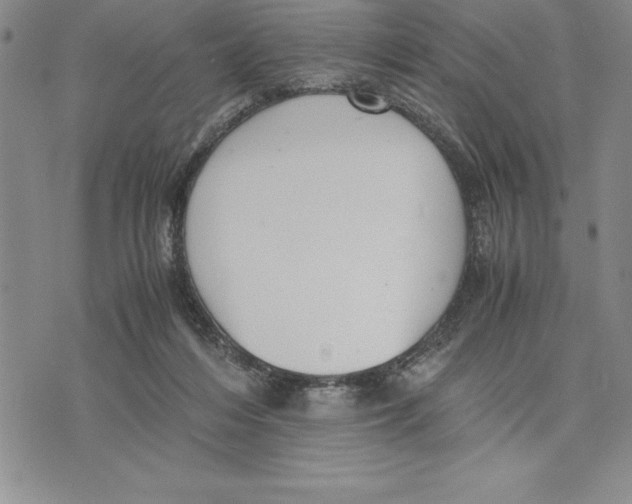 X0000075840216200610151553