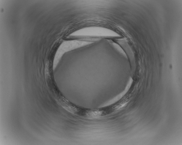 X0000075840217200610151553