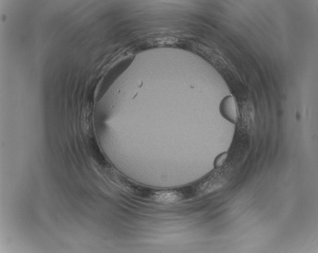 X0000075840218200610151553