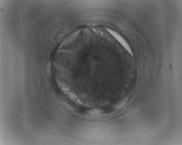 X0000075840219200610151553